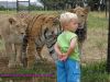 tame_or_not.jpg