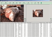PhotoResizer Pro Download